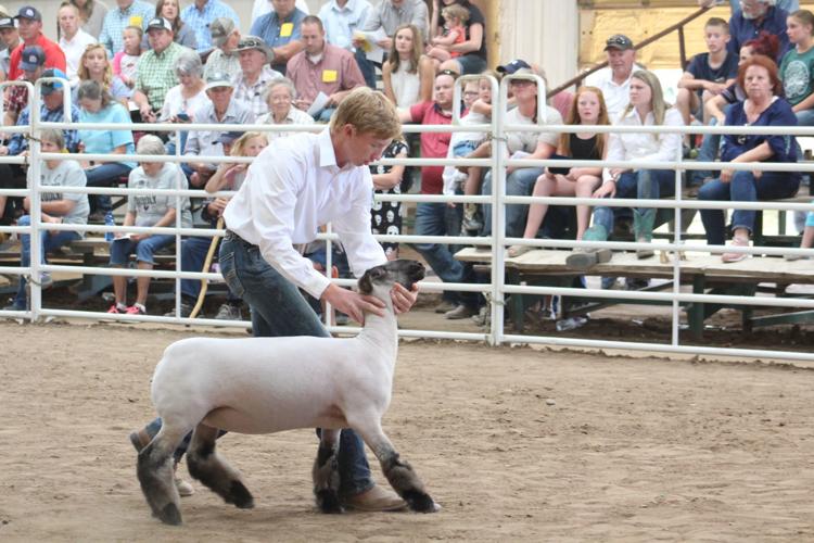 cash wadeIMG_0969.jpg