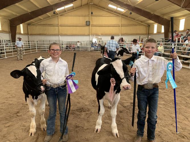 FC Fair Market Animal Show results